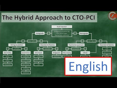 The Hybrid Approach to CTO-PCI