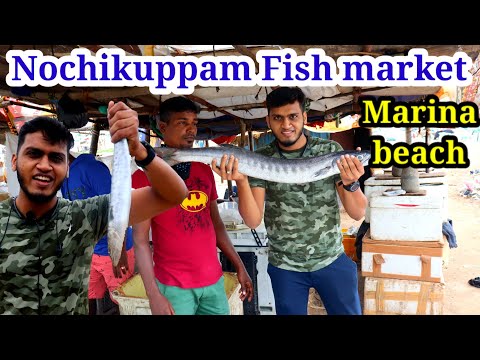 Nochikuppam | Fish Market | Marina beach |Chennai | Jaffer Nation |