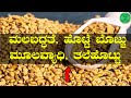 Methi Dana / Fenugreek Seeds : Know the benefits ? methi benefits in Kannada | ಮೆಂತ್ಯ ಕಾಳು
