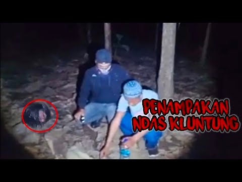 LIVE ndas KLUNTUNG