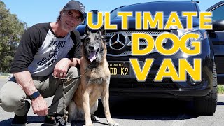 Traveling with Your Dog Safely - My Personal Dog Van Build