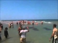 Морские сирены подплыли к пляжу 