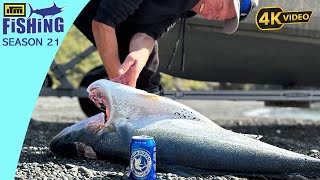 How to Catch and Cook Fish to get the Best Eating Quality
