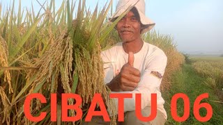 Download lagu PADI CIBATU 06 JOOOS TENAN mp3