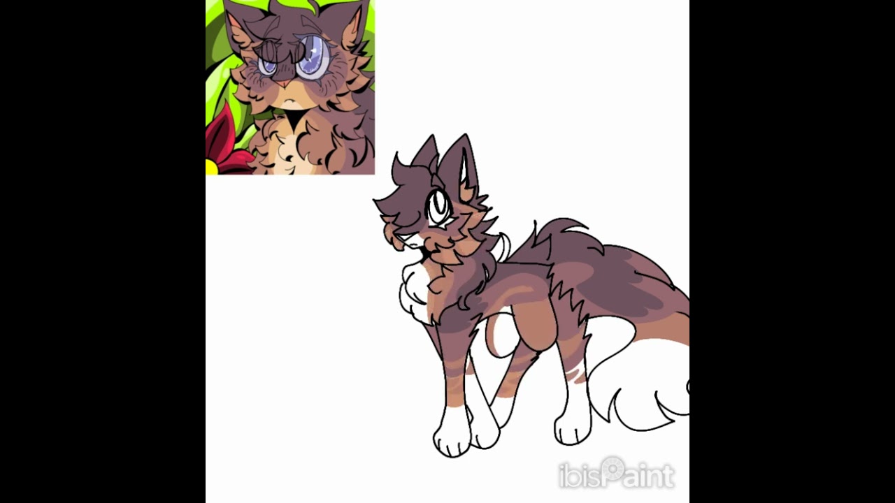 Crimsonflight character sheet/warrior cat oc/speed paint #warriorcats #speedpaint #originalcharacter