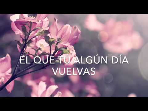 Bromas Aparte - Dama Y Vagabundo (Letra)