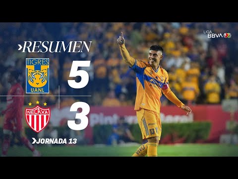 Summary Tigres UANL vs Necaxa Round 13