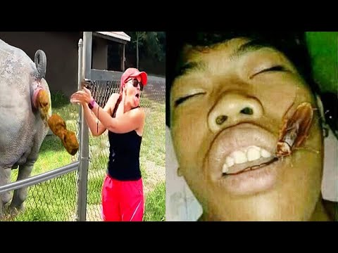 funny comedy Mp4 3GP Video & Mp3 Download unlimited Videos Download - funny comedy Mp4 3GP Video & Mp3 Download unlimited Videos Download -