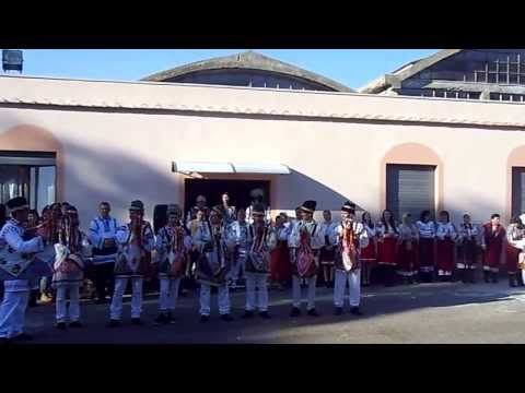 CAIUTII DE LA BORLESTI CIVITAVECCHIA 2014