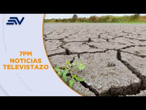 La sequía arrasó con 270 hectáreas de cultivos de maíz en Zapotillo, Loja | Televistazo | Ecuavisa