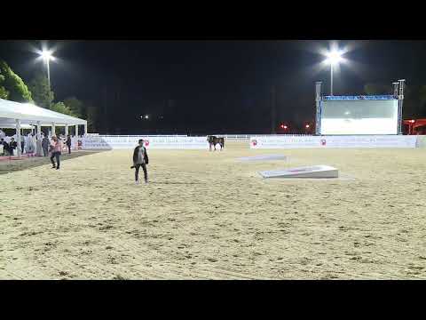 Emirates Arabian Breeders Championship