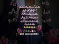 Best Urdu Poetry Wattsapp Status