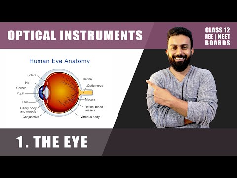 1.The Eye | Optical Instruments