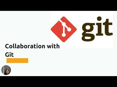 13_python Programming Collaborating With Git