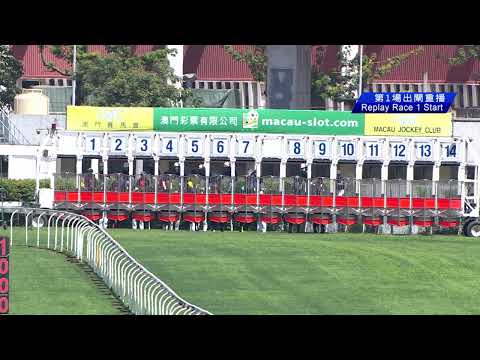 2022-04-09 Race 1(0204) - THE FUZHOU