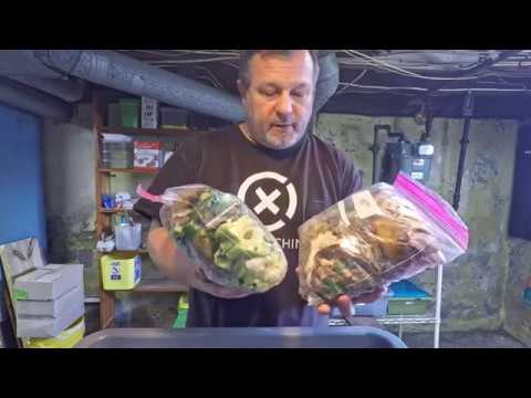 Bait boxes & feeding zone barriers & other worm bin fun - vermicomposting farm