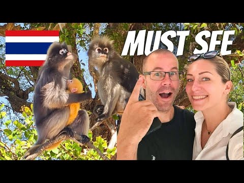 Friendly monkeys in AO MANAO (Lemon Bay) PRACHUAP KHIRI KHAN best beach - Thailand travel vlog