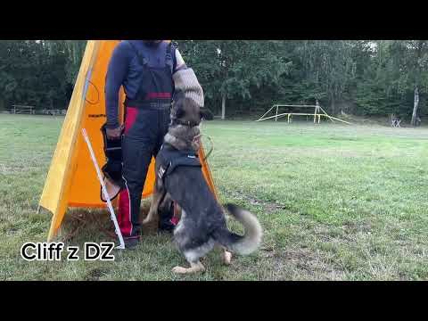 Cliff z Dianinej Záhrady - IGP protection training