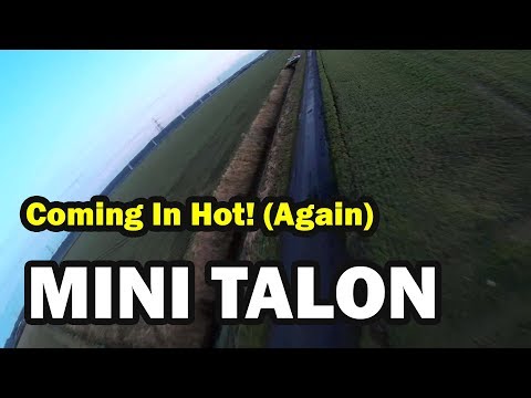 mini-talon--coming-in-hot-again