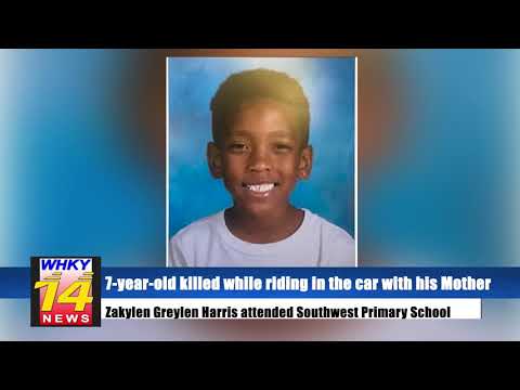 Traffic camera shows moments leading up to fatal shooting of 7-year-old boy: HPD Chief speaks out