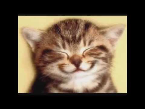 Sorria - Sônia Katherine