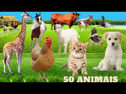50 animais- qual desse animais vc conhece?