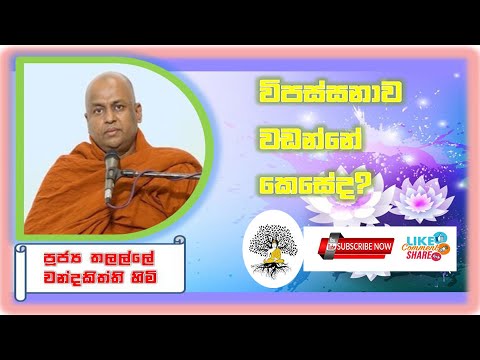 විපස්සනාව  වඩන්නේ කෙසේද? || Ven. Thalalle Chandakiththi Thero
