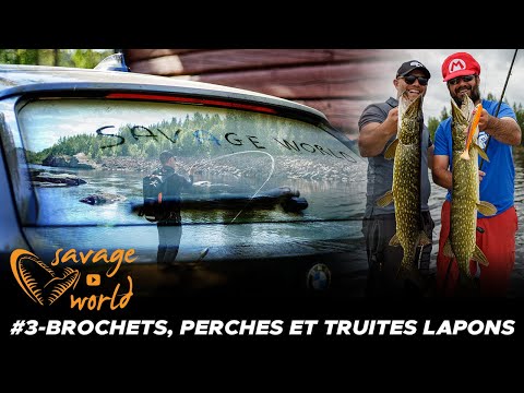 Savage World #3 : brochets, truites, perches en Laponie suédoise
