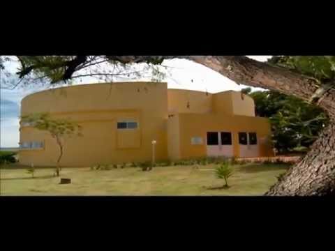 QUALIDADE DE VIDA - PACIFICAÇÃO ÍNTIMA - VIDA SAUDÁVEL - DESSOMA FELIZ