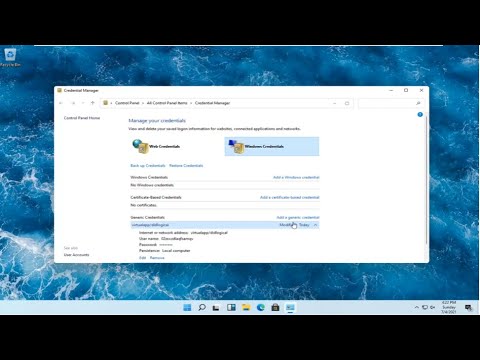 Remove or Update Old Passwords Using Credential Manager in Windows 11 [Tutorial]