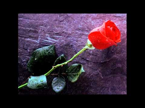 Rawa Jamal    Lapash To