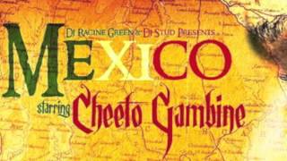 CHEETO GAMBINE MEXICO