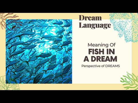 Meaning Of Fish In Dreams | Biblical & Prophetic Meaning