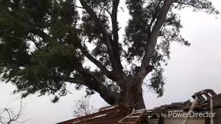 Radical Face - Letters Home