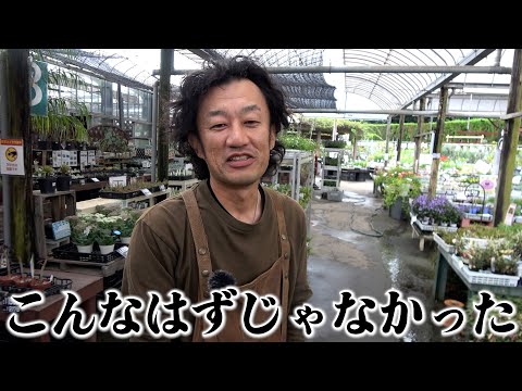 園芸 ジャイアントソードファーン