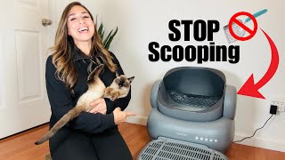 The Self-Cleaning Litter Box Every Cat Parent Needs! (Neakasa M1 Review)