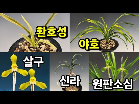 유튜브 썸네일