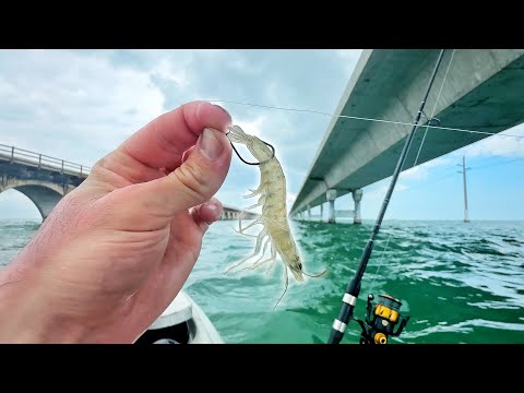 Fishing the 7 Mile for a Quick Bite!!! Florida Keys Kayak Fishing!