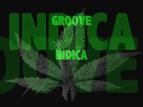 SLIM JIM GALAXY- Groove Indica [2006]