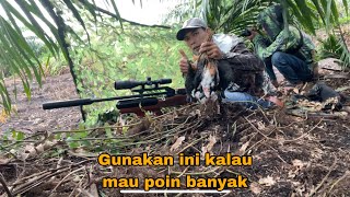 Download lagu Trik paling ampuh hunting ruak2 poin nya bisa puluhan mp3