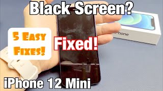 iPhone 12 Mini: Black Screen, Display Won
