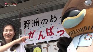 2026/8/20放送・知ったかぶりカイツブリにゅーす