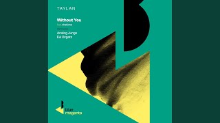 Without You (Analog Jungs Club Remix)