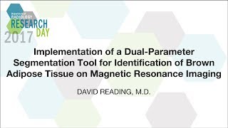 Implementation of a Dual-Parameter Segmentation Tool for Identification of Brown Adipose Tissue
