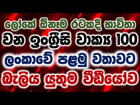 100 Phrases Every English Beginner Must-Know in Sinhala | Basic English Conversation Practice