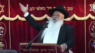 האדם עץ השדה | קטעים קצרים | הרב דניאל זר
