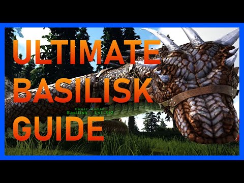 How to tame a Basilisk Ark 2023