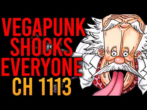 VEGAPUNK'S MESSAGE TO THE WORLD IS..... | One Piece Manga Chapter 1113