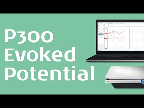 P300 Evoked Potential: A Deep Dive (1/2)