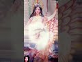 Har Sal Mein Chudai Chudai Video Song Bhojpuri